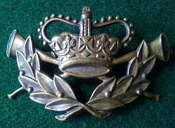 • Original 1960's brass cap badge.