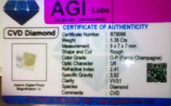 🔹Lab authentication card.