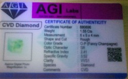 🔹CVD lab report.